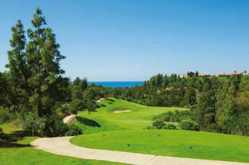 El Chaparral, Mijas 19 de Julio - Imagen 3