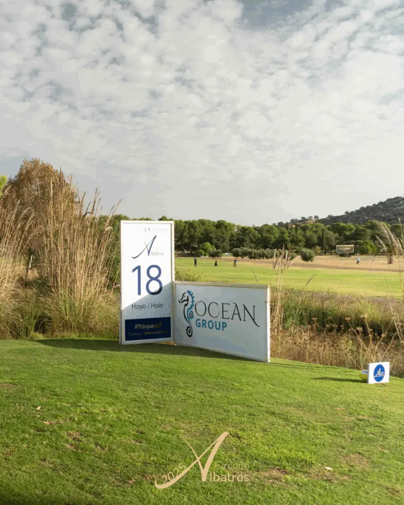 Diseno sin titulo.zip 4